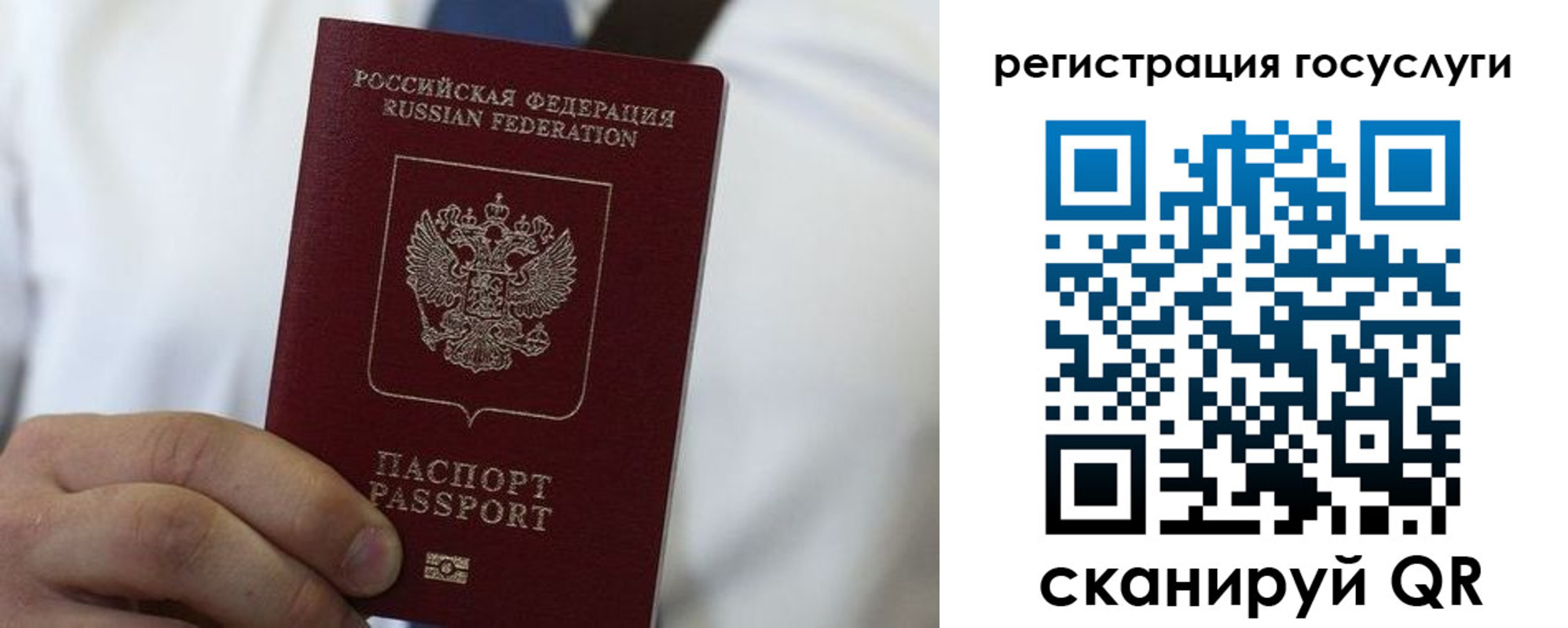 прописка в Сосенском
